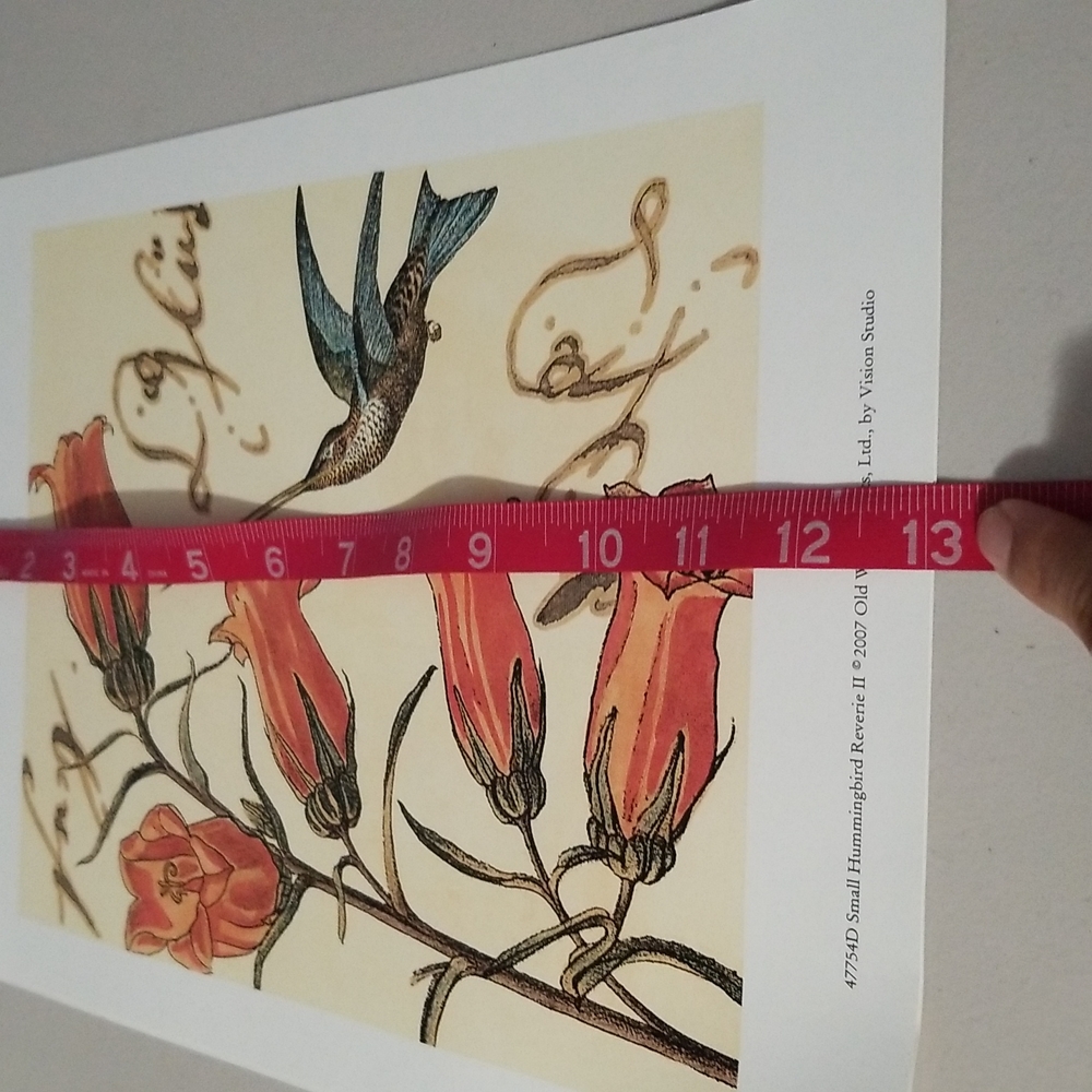 Hummingbird Prints - Picture 5 of 6